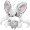 Cinccino