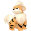 Shadow Growlithe