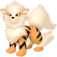 Shadow Arcanine