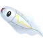 Tynamo