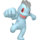 Machop