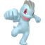 Shadow Machop