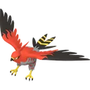 Talonflame