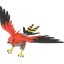 Shadow Talonflame