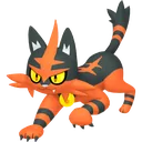 Torracat