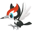 Pikipek