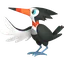 Shadow Trumbeak