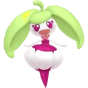 Steenee