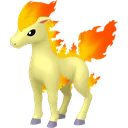 Ponyta