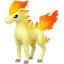 Shadow Ponyta