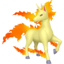 Rapidash