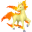 Shadow Rapidash