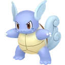 Wartortle