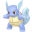 Wartortle
