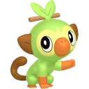 Grookey