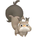 Skwovet