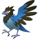 Corvisquire