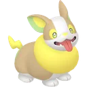 Yamper