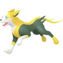 Boltund