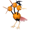 Dodrio