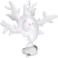 Cursola