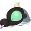 Shroodle