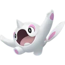 Cetoddle