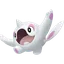 Cetoddle