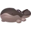 Clodsire