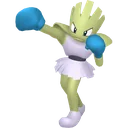 Shiny Hitmonchan