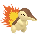 Shiny Cyndaquil
