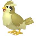 Shiny Pidgey