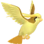 Shiny Pidgeot