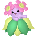 Shiny Bellossom