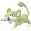 Shiny Rattata