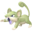 Shiny Rattata