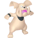Shiny Granbull