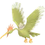 Shiny Fearow