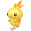 Shiny Torchic
