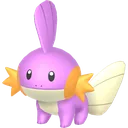Shiny Mudkip
