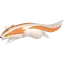 Shiny Linoone