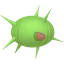 Shiny Cascoon