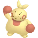 Shiny Makuhita
