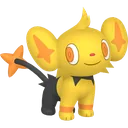 Shiny Shinx