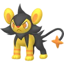 Shiny Luxio