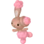 Shiny Buneary