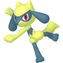 Shiny Riolu