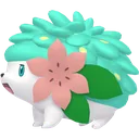 Shiny Shaymin