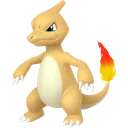 Shiny Charmeleon