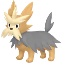 Shiny Herdier